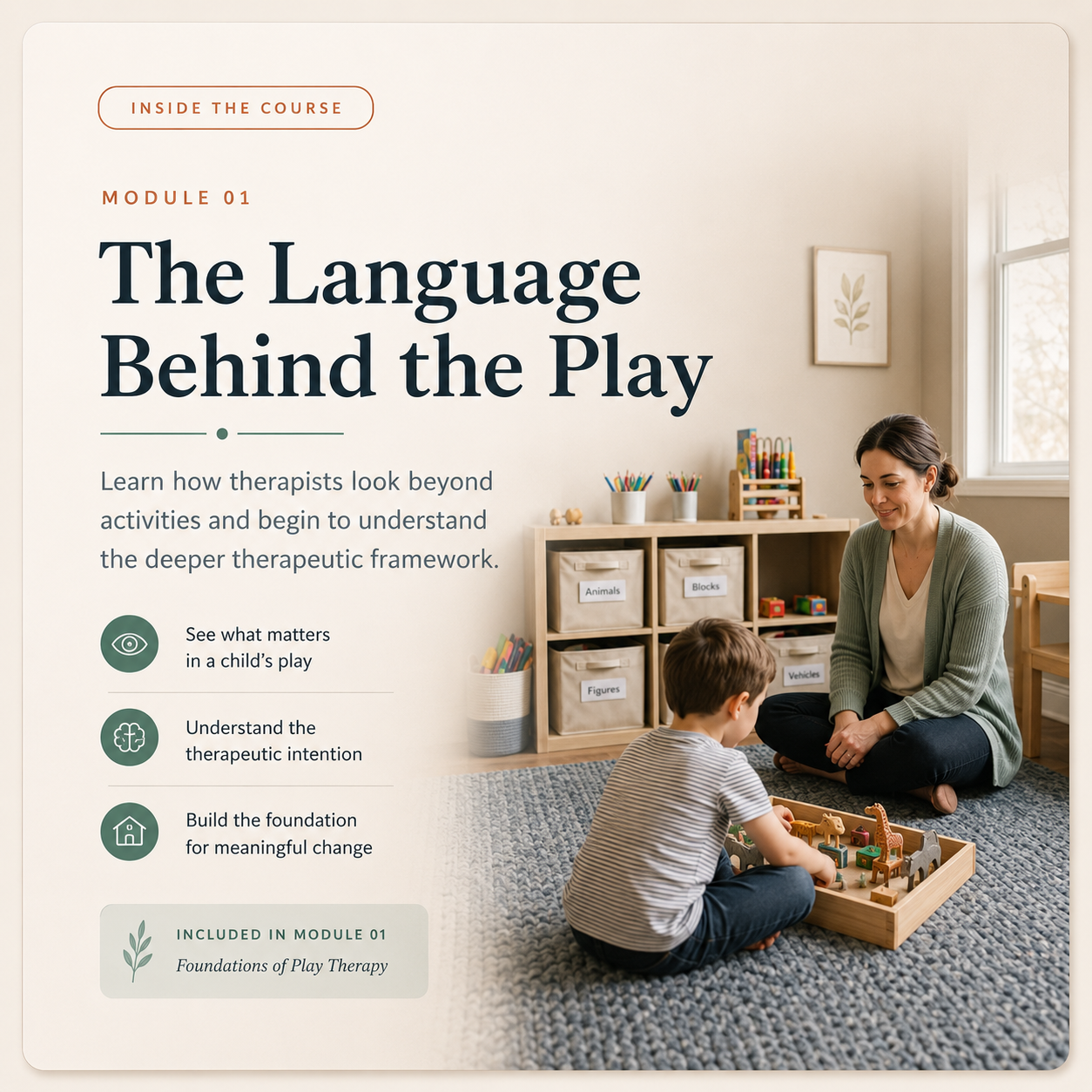 The Language Behind the Play preview